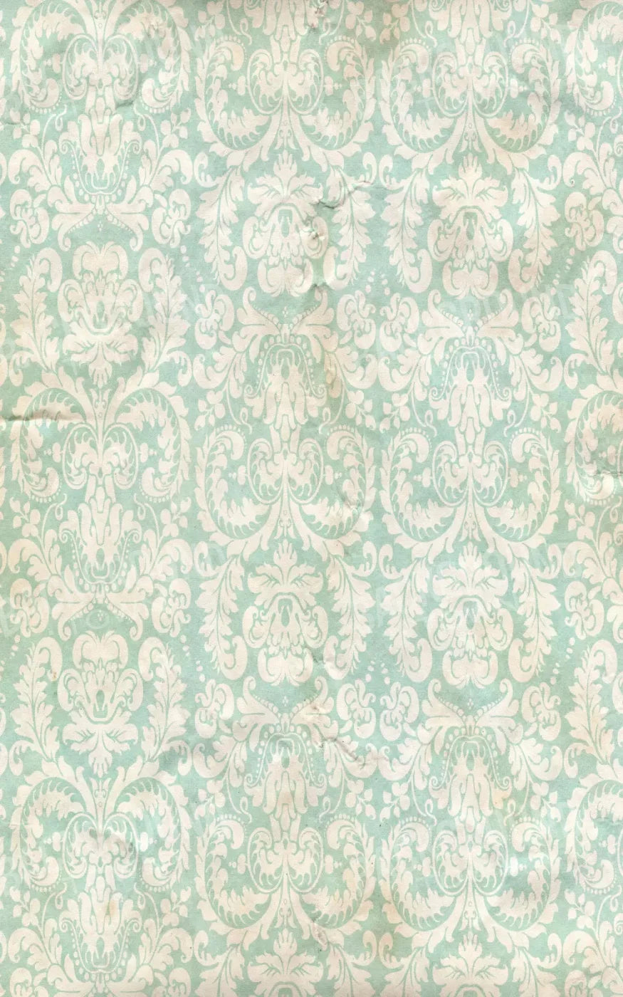 Gigi 9X14 Ultracloth ( 108 X 168 Inch ) Backdrop