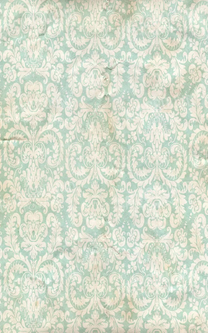 Gigi 9X14 Ultracloth ( 108 X 168 Inch ) Backdrop