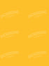 Gold 5X7 Ultracloth ( 60 X 84 Inch ) Backdrop