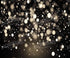 Black gold silver  Backdrop for Photography
