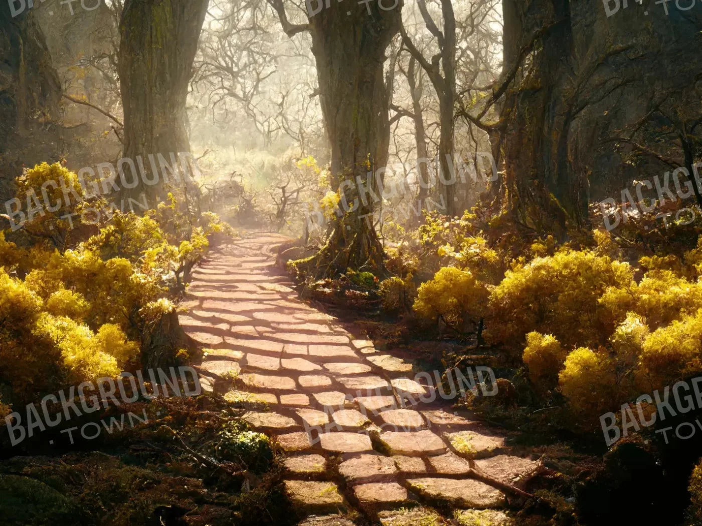 Gold Path 10X8 Fleece ( 120 X 96 Inch ) Backdrop