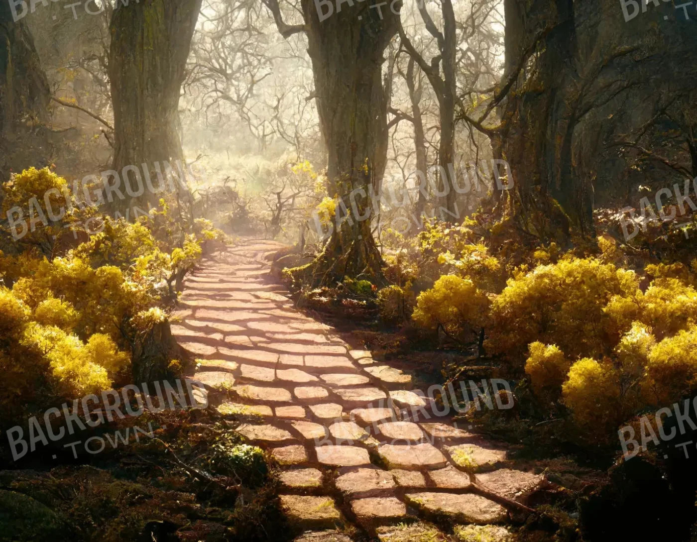 Gold Path 8X6 Fleece ( 96 X 72 Inch ) Backdrop