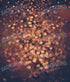 Golden Bokeh Lights 10X12 Ultracloth ( 120 X 144 Inch ) Backdrop