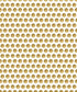Yellow Pattern Backdrop for Photography