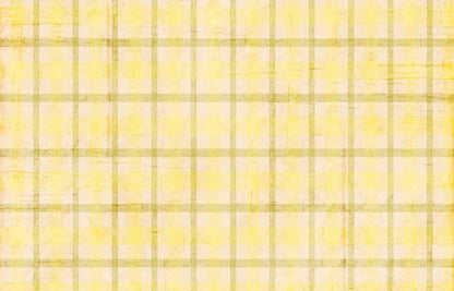 Goldenrod 12X8 Ultracloth ( 144 X 96 Inch ) Backdrop
