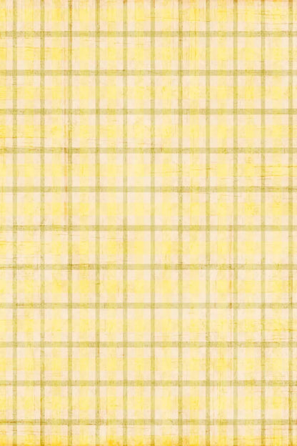 Goldenrod 5X8 Ultracloth ( 60 X 96 Inch ) Backdrop