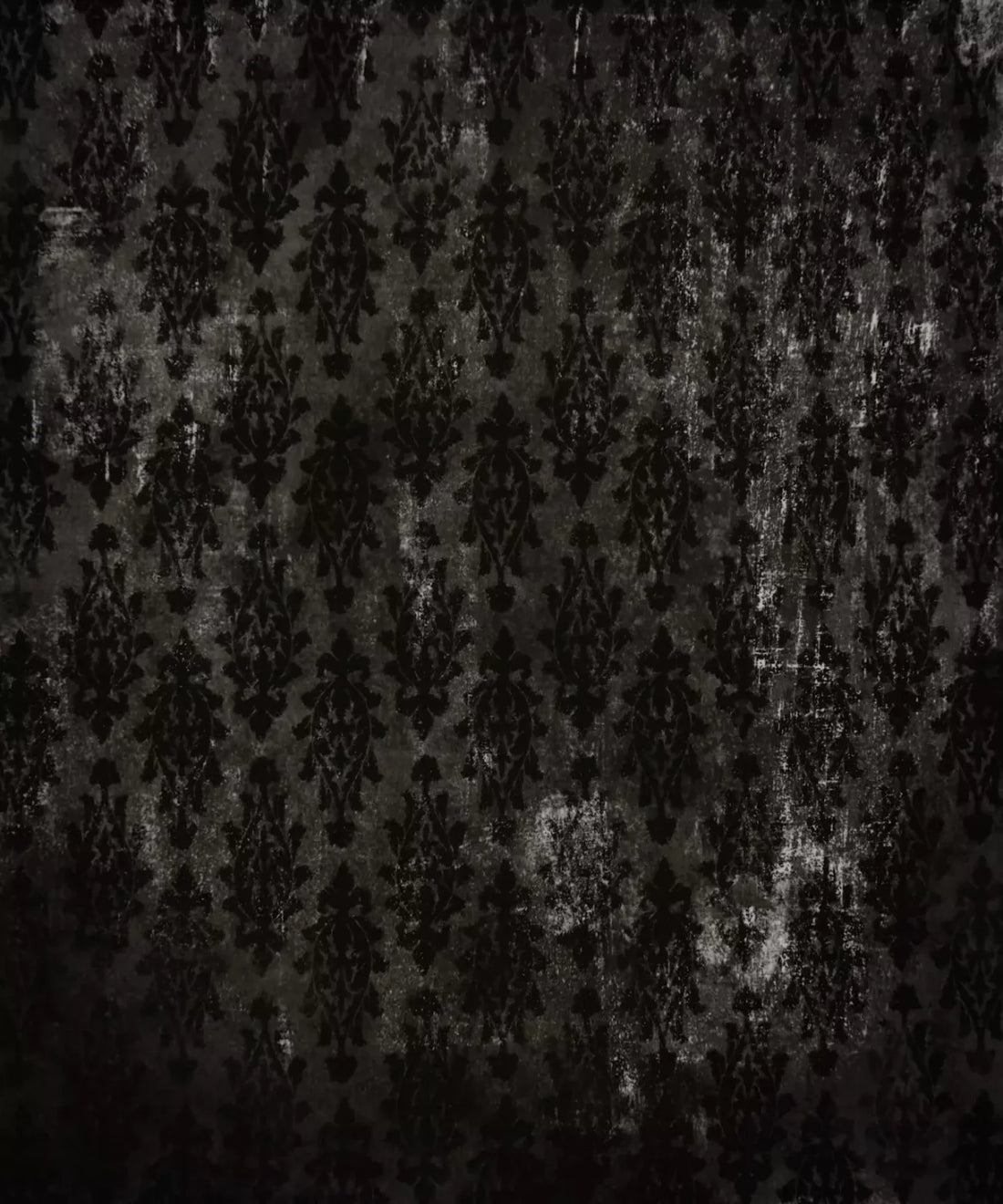Black Damask Backdrop for Photography