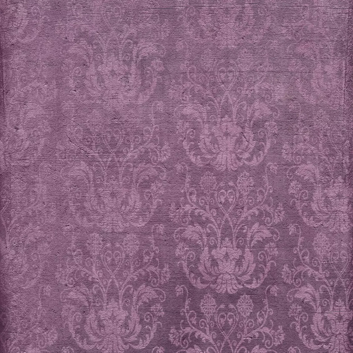 Graham Purple Backdrop