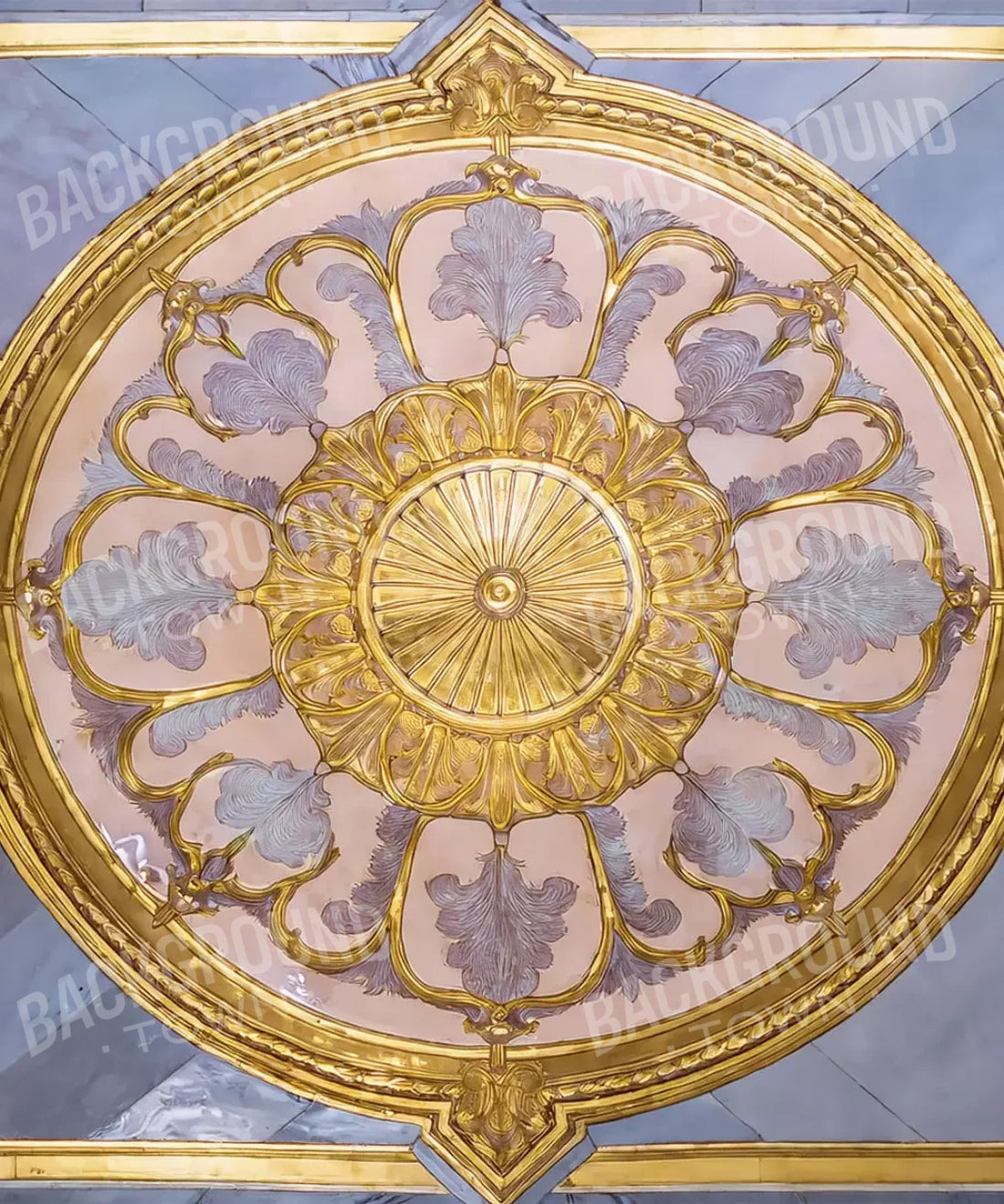 Backdrop for Photography