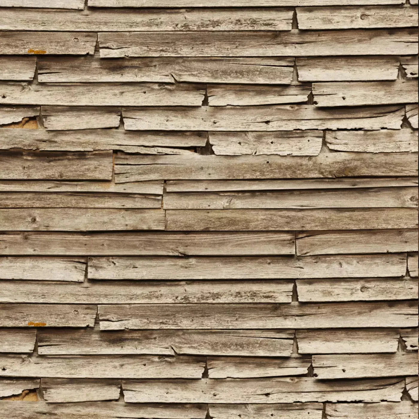 Grandpas Cabin Backdrop