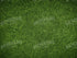 Grass 10X8 Fleece ( 120 X 96 Inch ) Backdrop