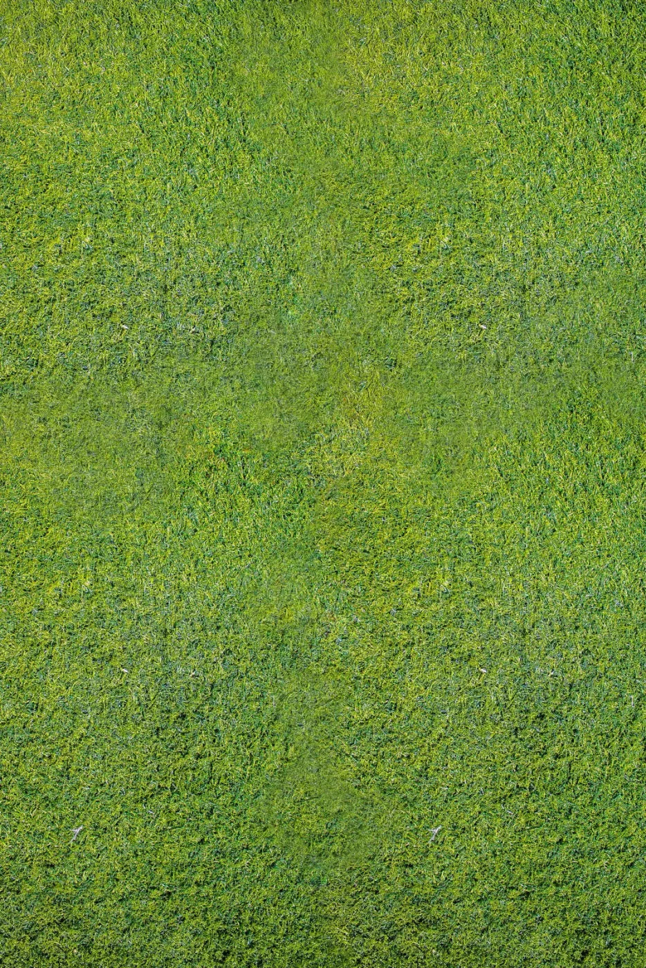 Grass Floor Backdrop