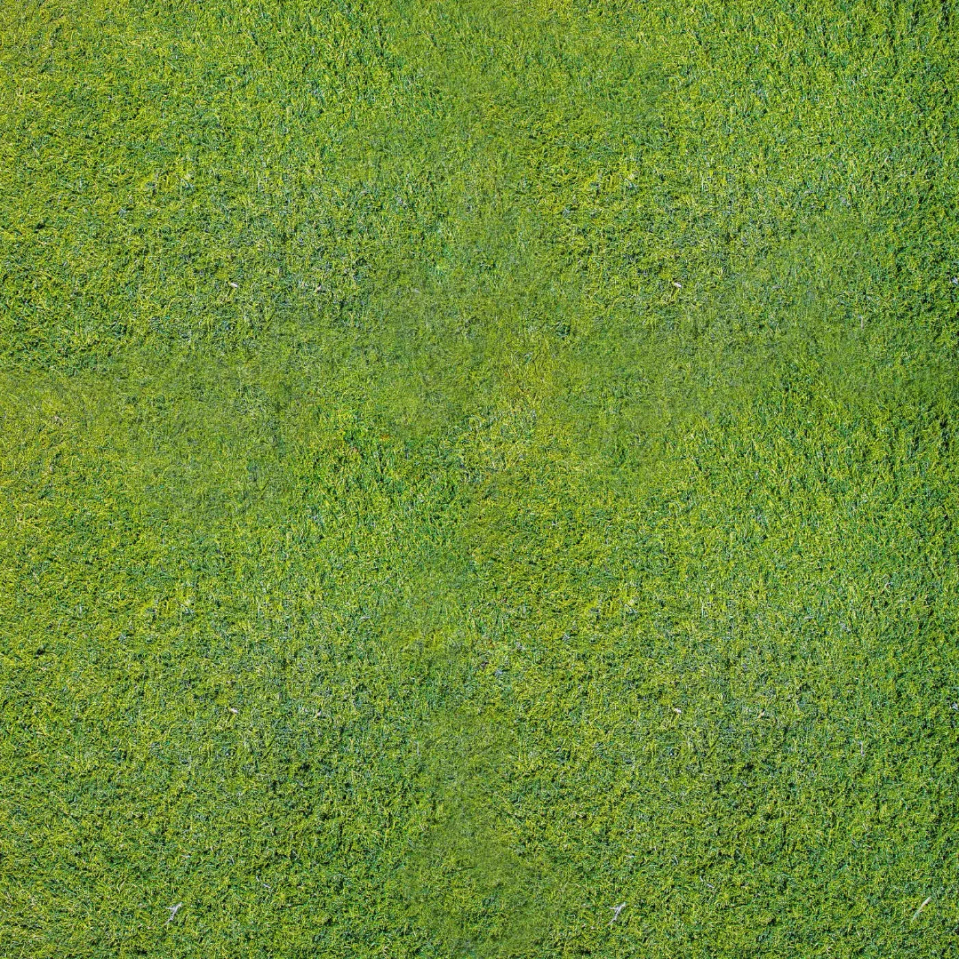 Grass Floor Backdrop