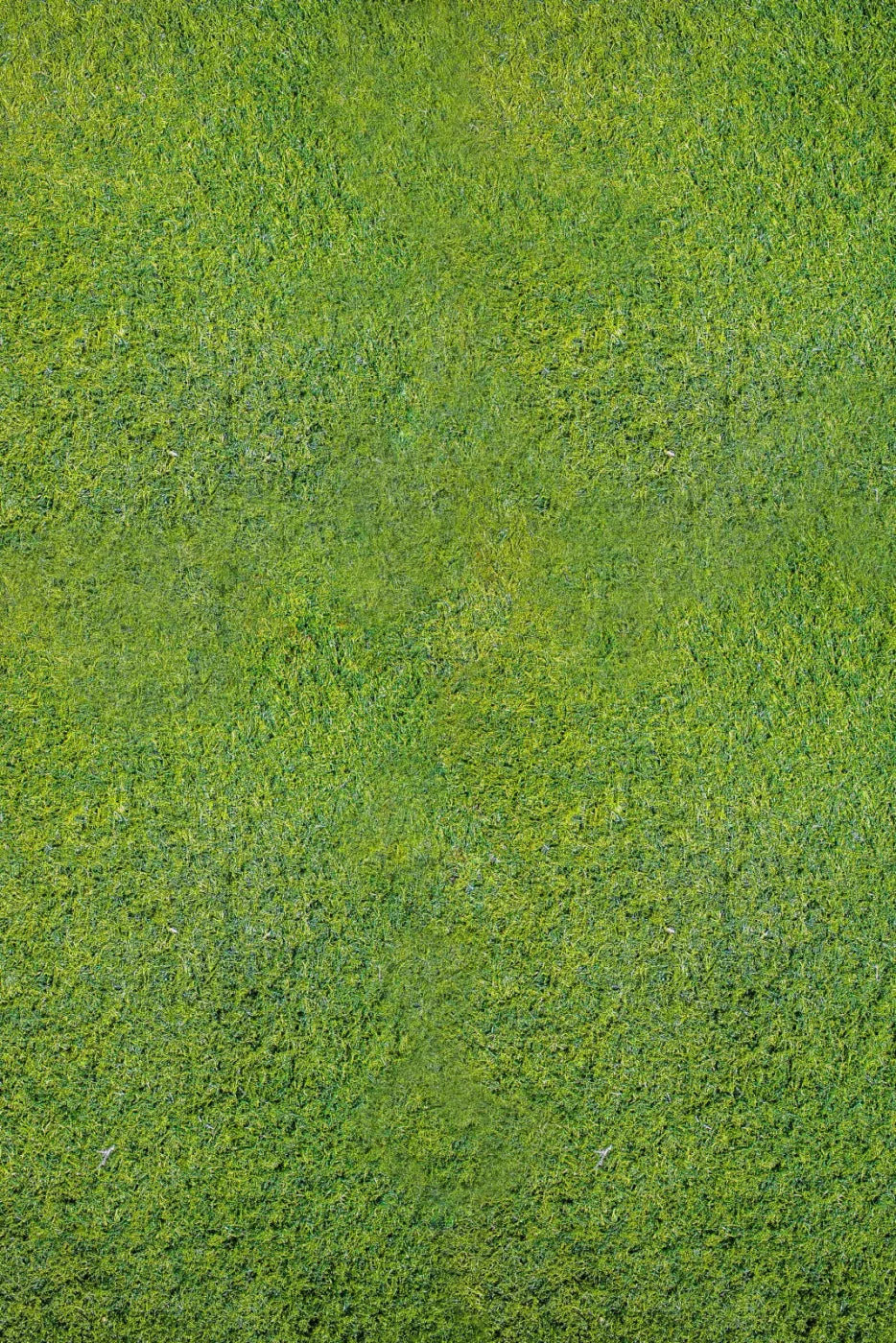 Grass Floor Rubbermat 4X5 ( 48 X 60 Inch )