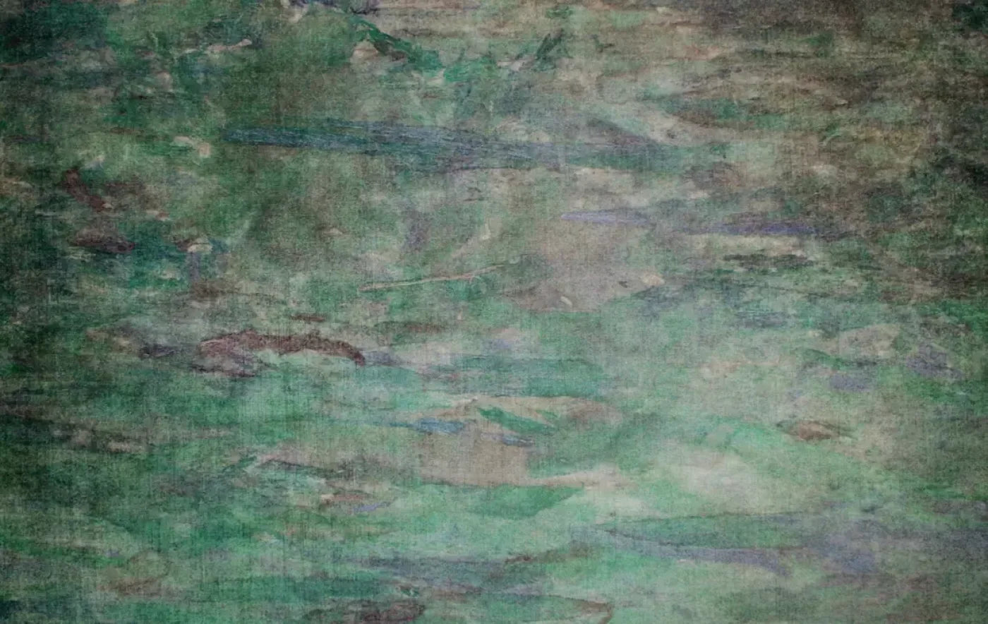 Grassland 16’X10’ Ultracloth (192 X 120 Inch) Backdrop