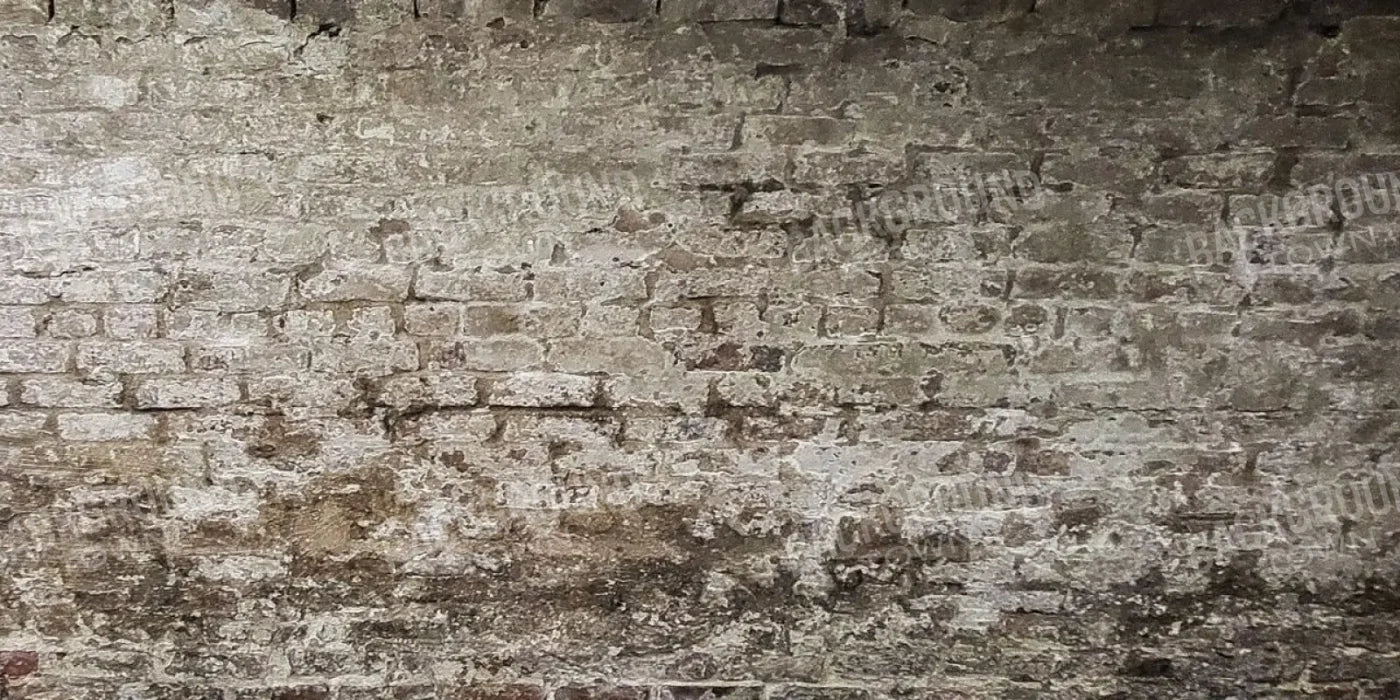 Gray Brick Wall 20’x10’ UltraCloth (240 x 120 inch) Backdrop