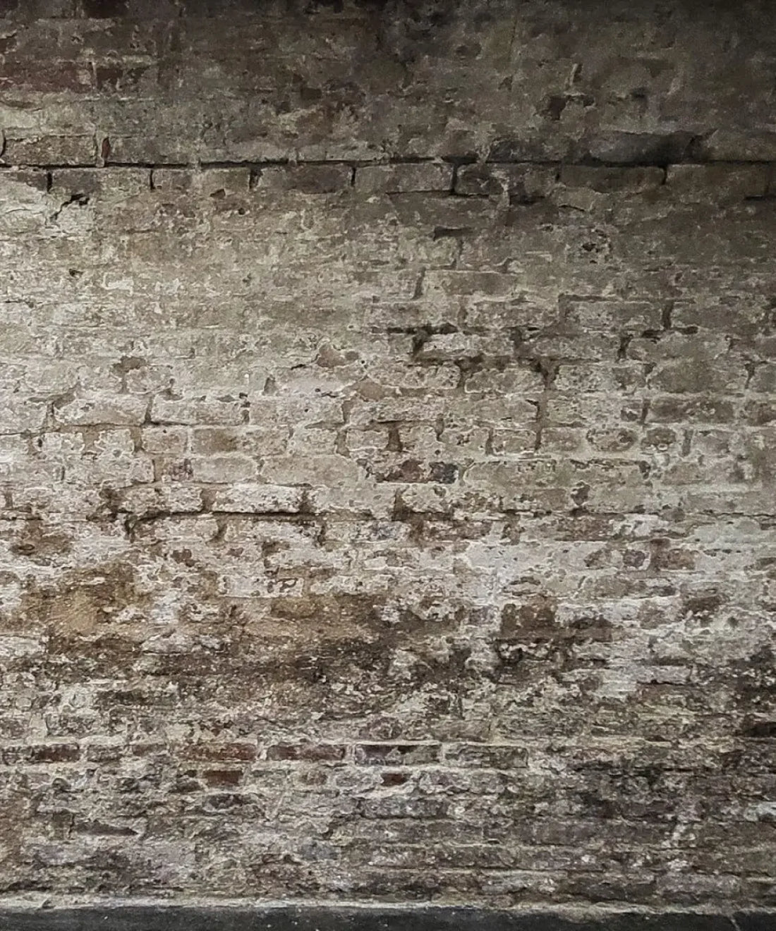 Gray  Backdrop for Photography