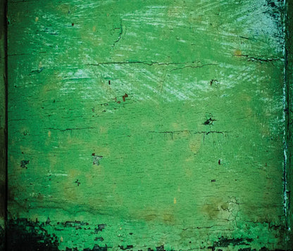 Green Machine 12X10 Ultracloth ( 144 X 120 Inch ) Backdrop