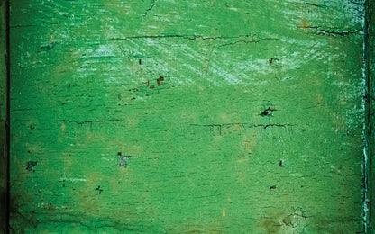 Green Machine 14X9 Ultracloth ( 168 X 108 Inch ) Backdrop