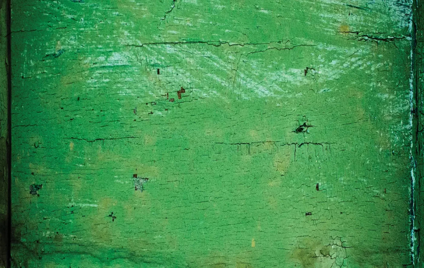 Green Machine 16X10 Ultracloth ( 192 X 120 Inch ) Backdrop