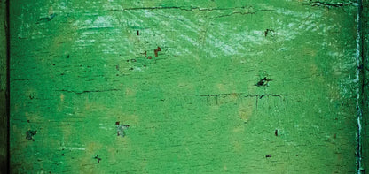 Green Machine 16X8 Ultracloth ( 192 X 96 Inch ) Backdrop