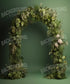 Green   Backdrop for Photography