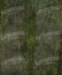 Green Textured Backdrop for Photography