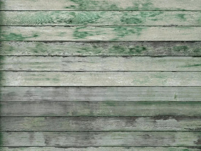 Greenwood 10X8 Fleece ( 120 X 96 Inch ) Backdrop