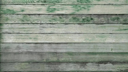 Greenwood 14X8 Ultracloth ( 168 X 96 Inch ) Backdrop