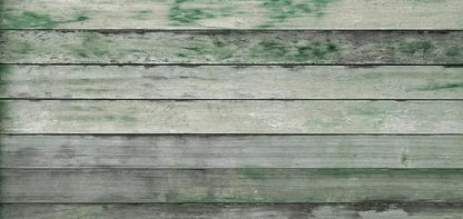 Greenwood 16X8 Ultracloth ( 192 X 96 Inch ) Backdrop