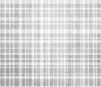 Grey Country 12X10 Ultracloth ( 144 X 120 Inch ) Backdrop
