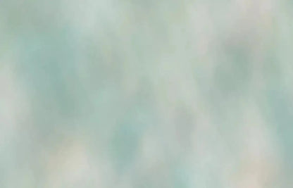 Greyson 12X8 Ultracloth ( 144 X 96 Inch ) Backdrop