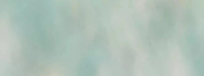 Greyson 20X8 Ultracloth ( 240 X 96 Inch ) Backdrop
