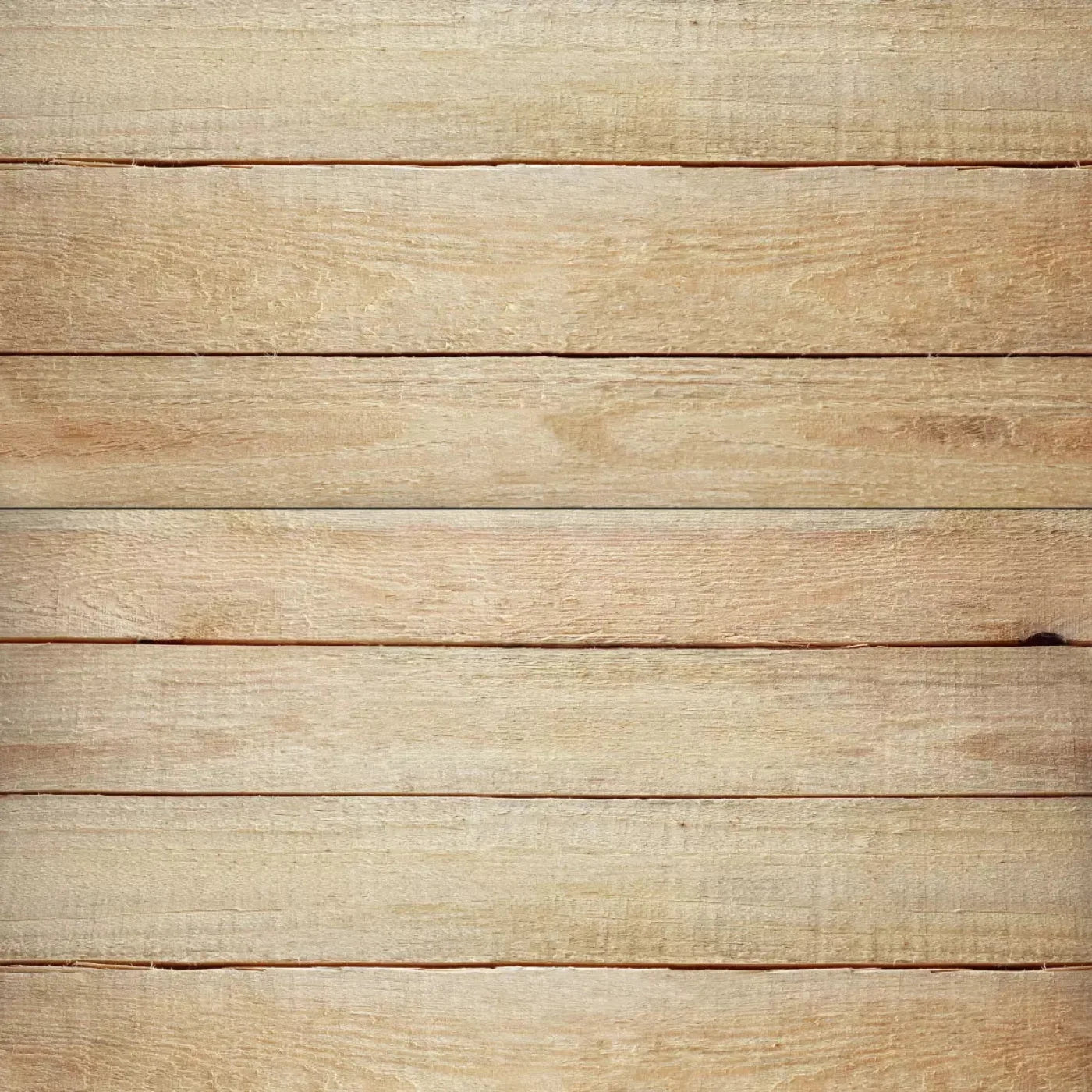 Grove Backdrop