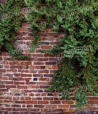 Growth On Brick 10X12 Ultracloth ( 120 X 144 Inch ) Backdrop