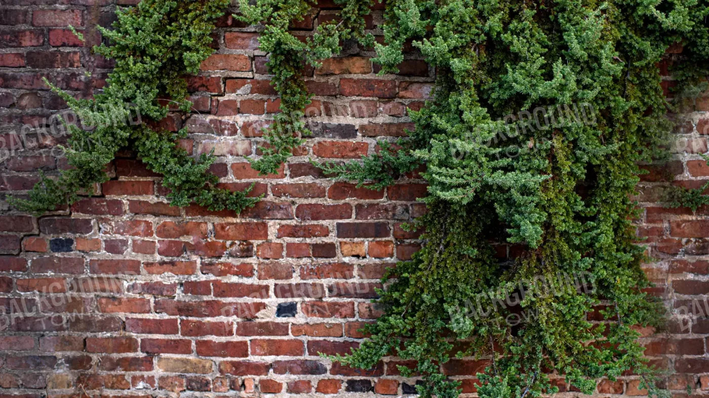 Growth On Brick 14X8 Ultracloth ( 168 X 96 Inch ) Backdrop