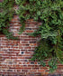 Brown Brick and Stone Backdrop for Photography