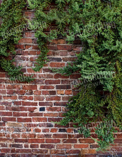 Growth On Brick 6X8 Fleece ( 72 X 96 Inch ) Backdrop