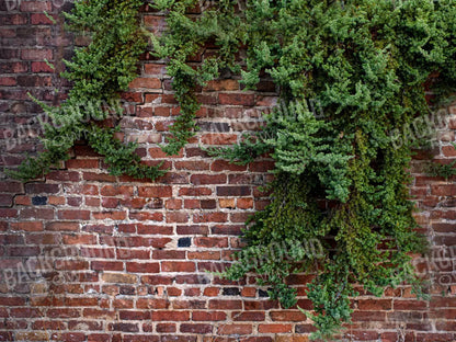 Growth On Brick 7X5 Ultracloth ( 84 X 60 Inch ) Backdrop