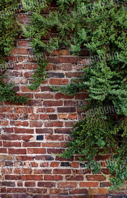 Growth On Brick 8X12 Ultracloth ( 96 X 144 Inch ) Backdrop