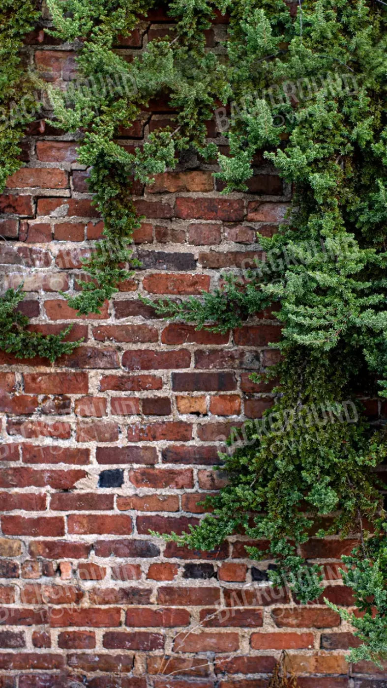 Growth On Brick 8X14 Ultracloth ( 96 X 168 Inch ) Backdrop