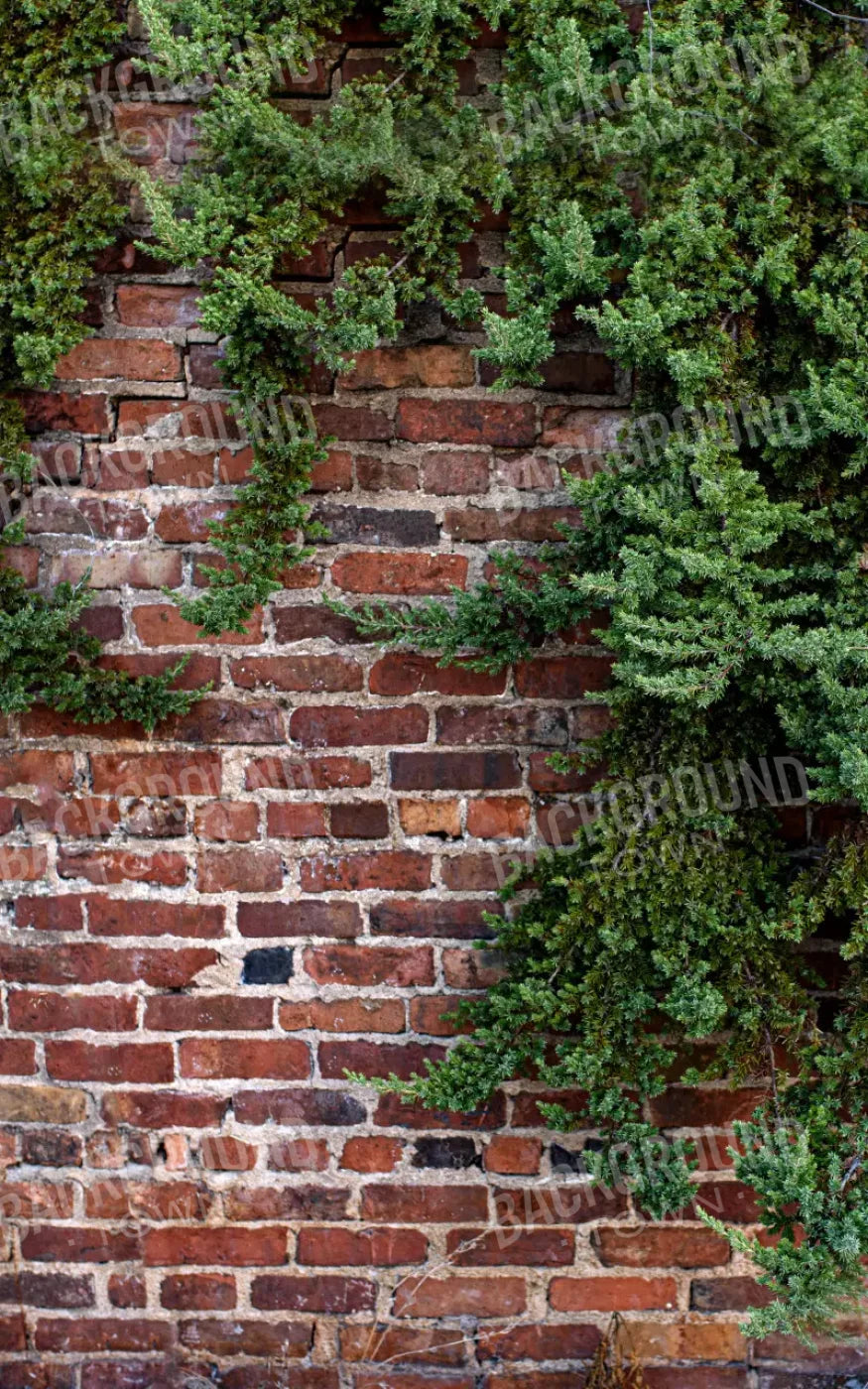 Growth On Brick 9X14 Ultracloth ( 108 X 168 Inch ) Backdrop