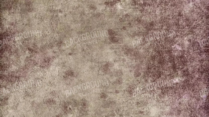 Penny 14X8 Ultracloth ( 168 X 96 Inch ) Backdrop