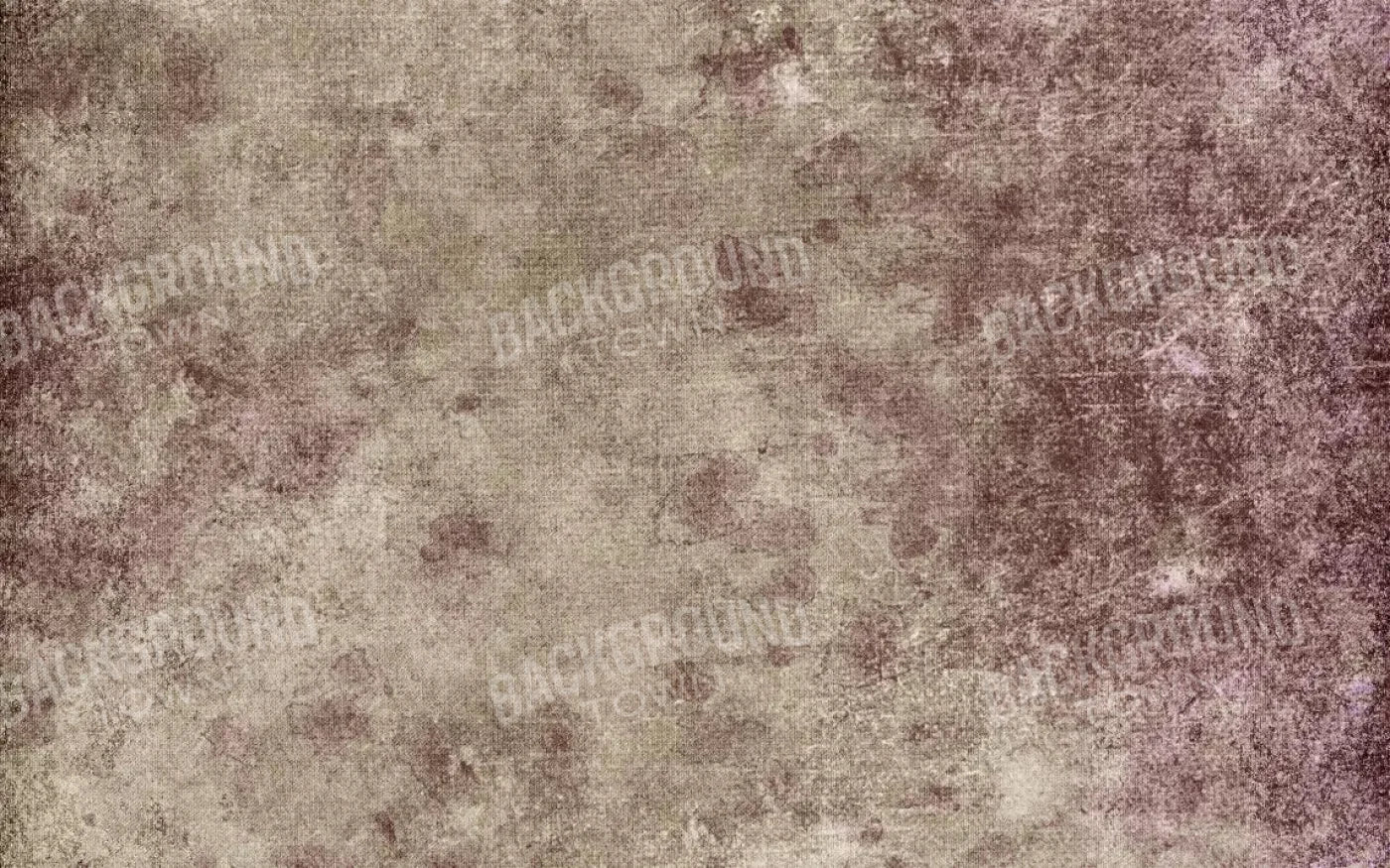 Penny 14X9 Ultracloth ( 168 X 108 Inch ) Backdrop