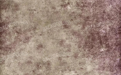 Penny 14X9 Ultracloth ( 168 X 108 Inch ) Backdrop