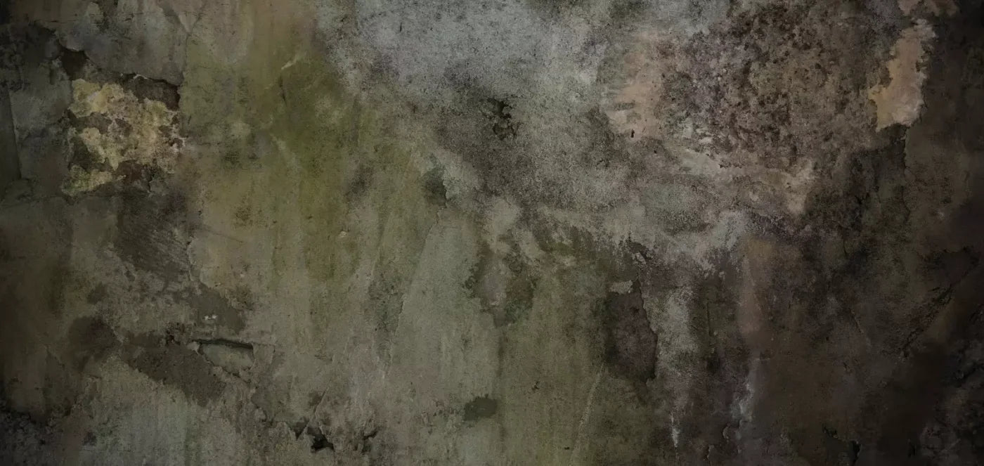 Grunge Stonewalled 16’X8’ Ultracloth (192 X 96 Inch) Backdrop