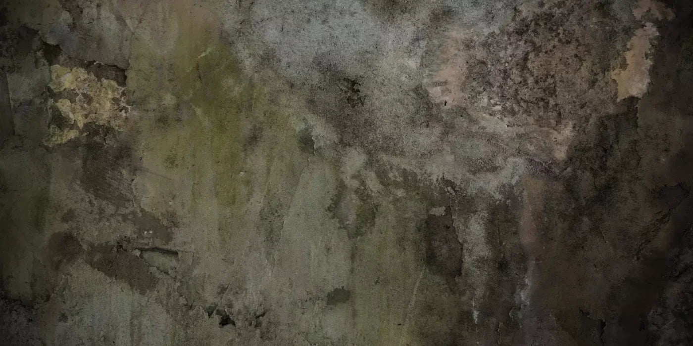 Grunge Stonewalled 20’X10’ Ultracloth (240 X 120 Inch) Backdrop