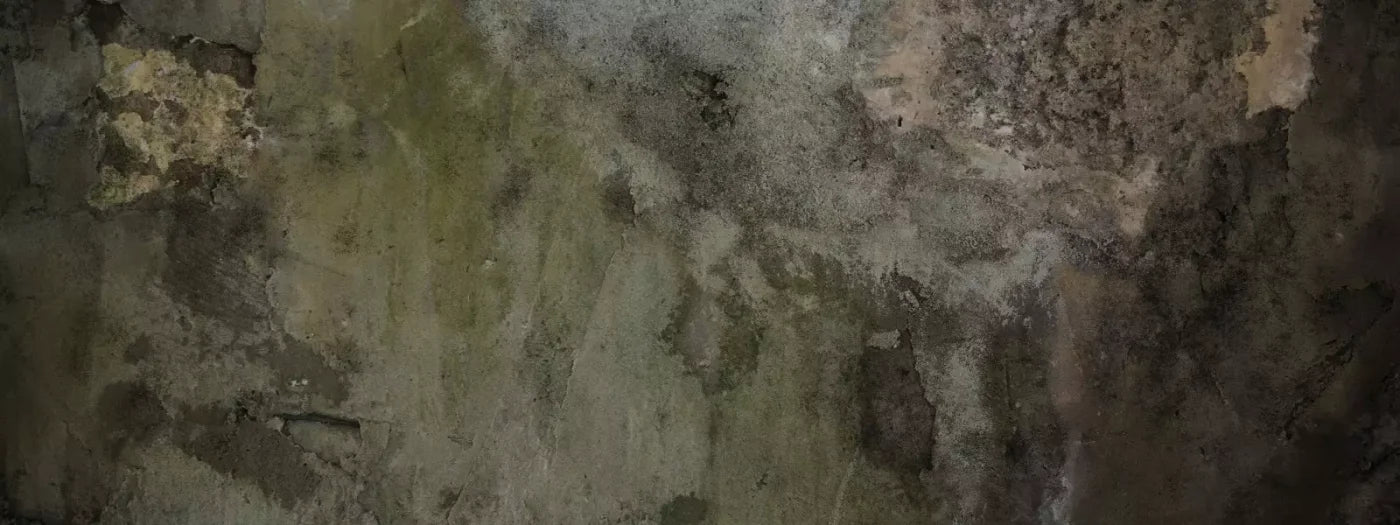 Grunge Stonewalled 20’X8’ Ultracloth (240 X 96 Inch) Backdrop