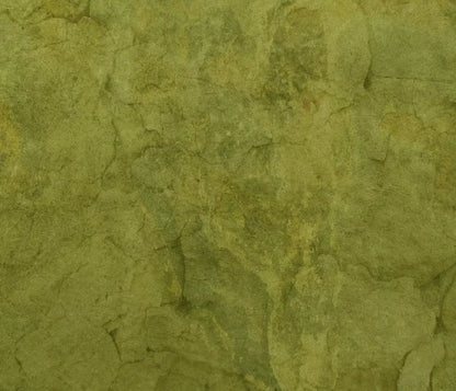 Guacamole 12X10 Ultracloth ( 144 X 120 Inch ) Backdrop