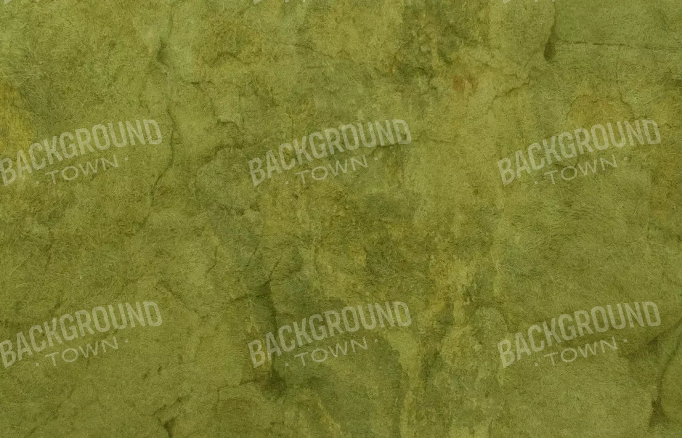 Guacamole 12X8 Ultracloth ( 144 X 96 Inch ) Backdrop